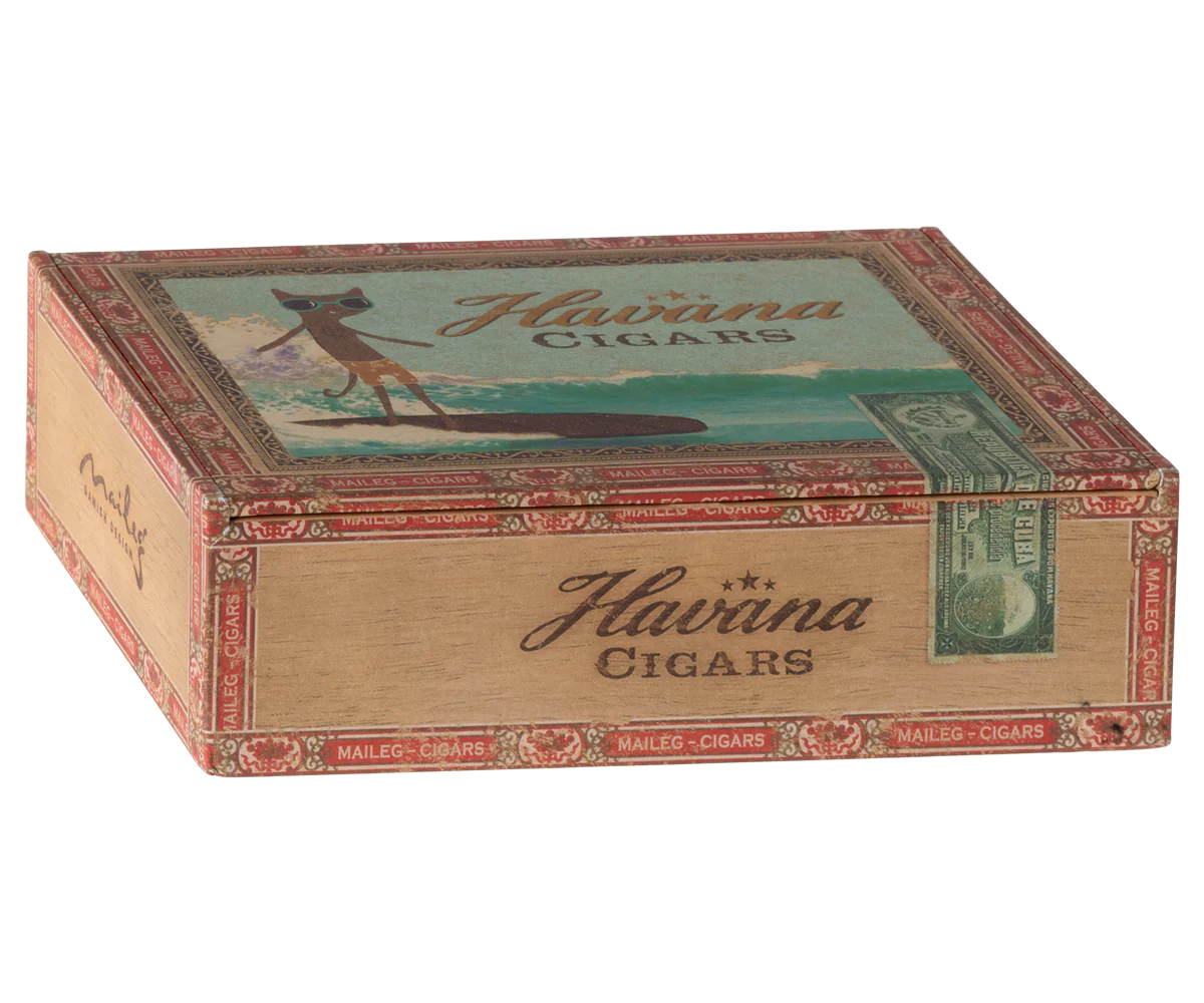 Mum and dad mice in cigarbox