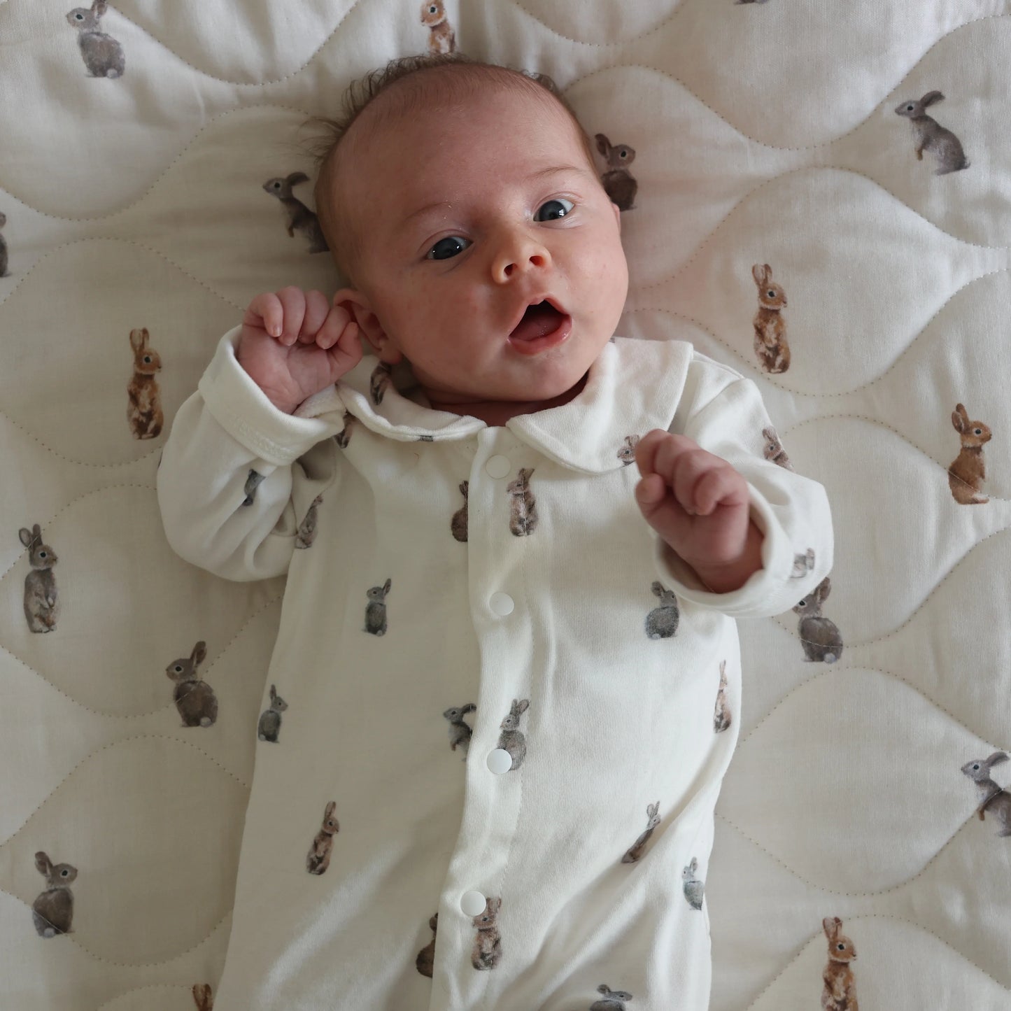 Cotton Babygrow - Bunny