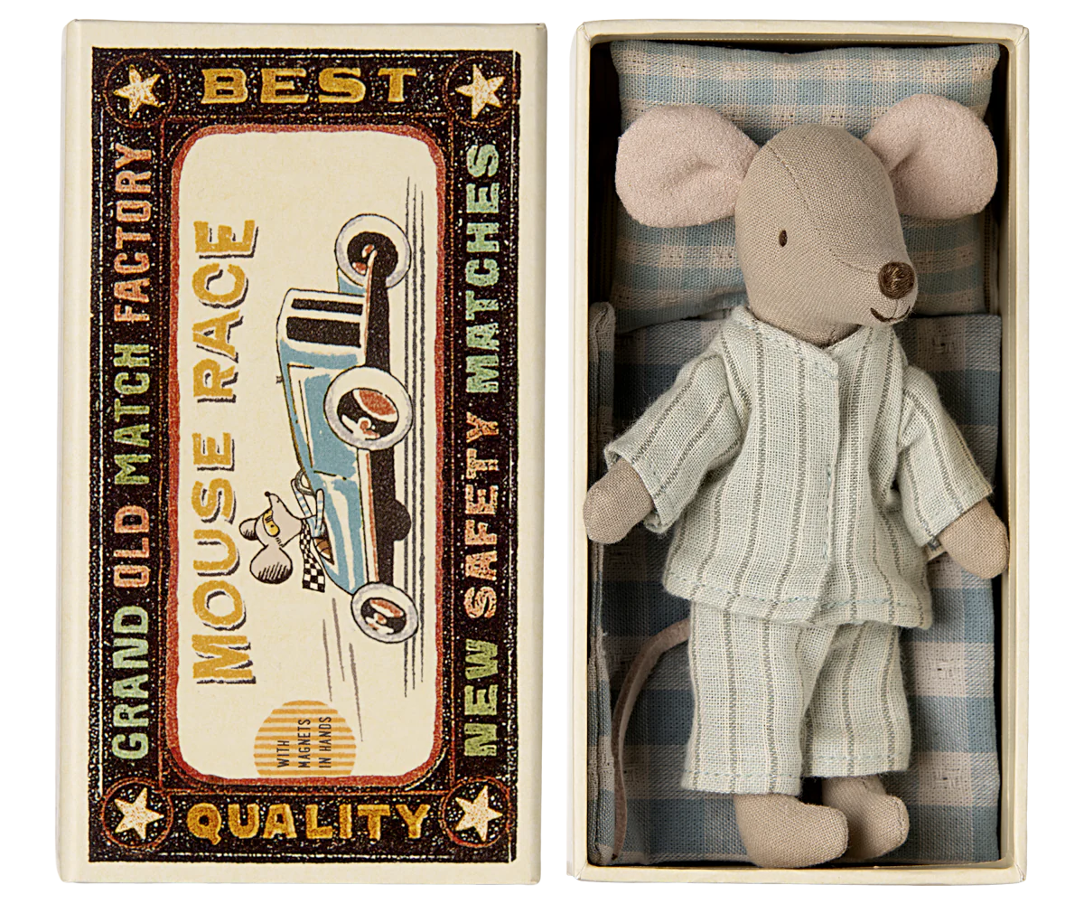 Big brother mouse in matchbox