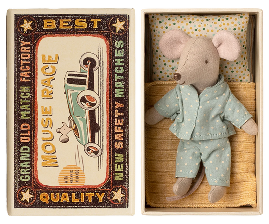 Little brother mouse in matchbox