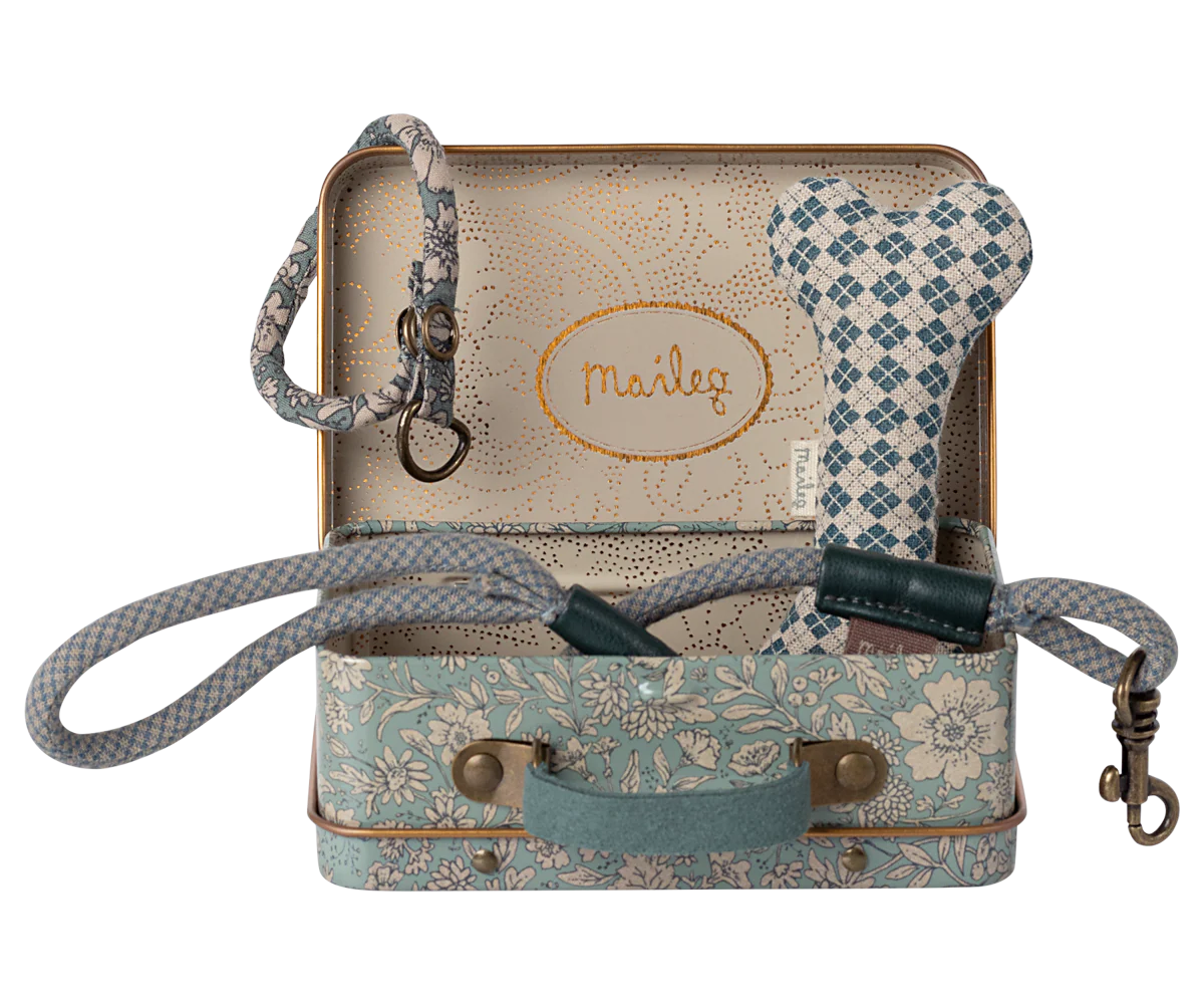 Dog supply, Accessories - Blue