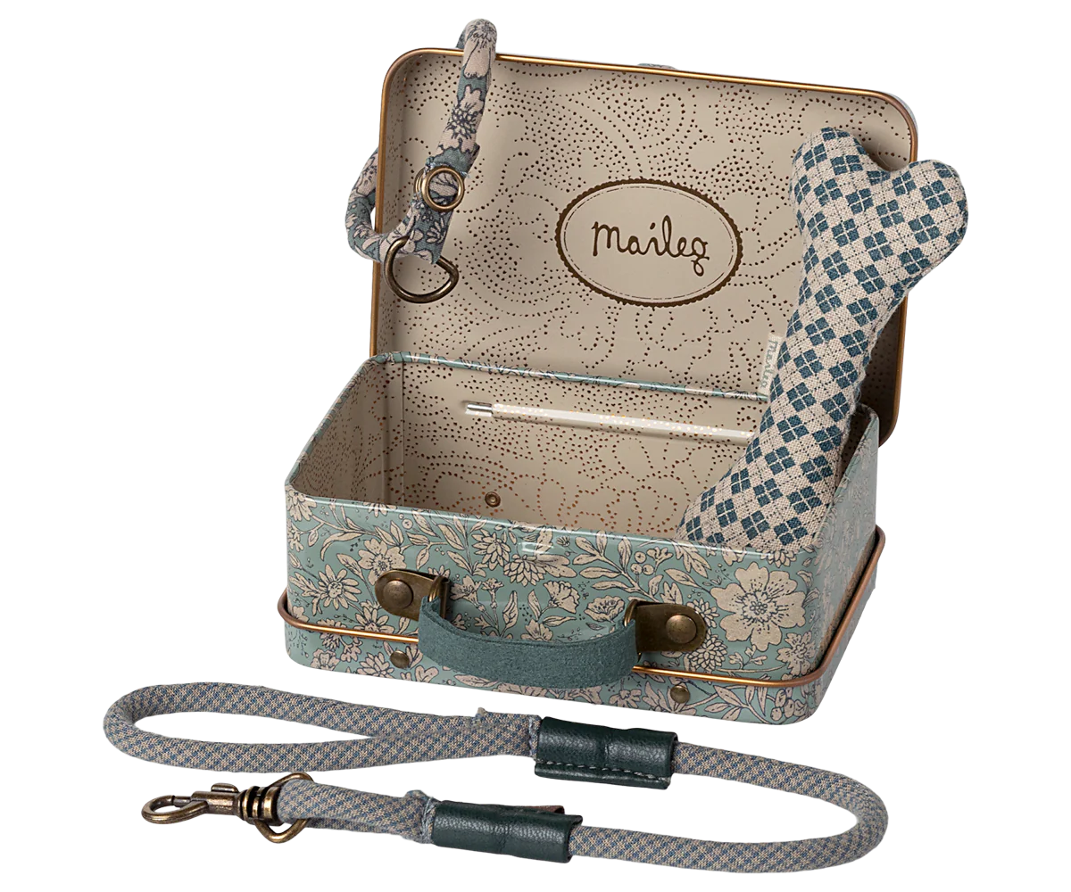 Dog supply, Accessories - Blue