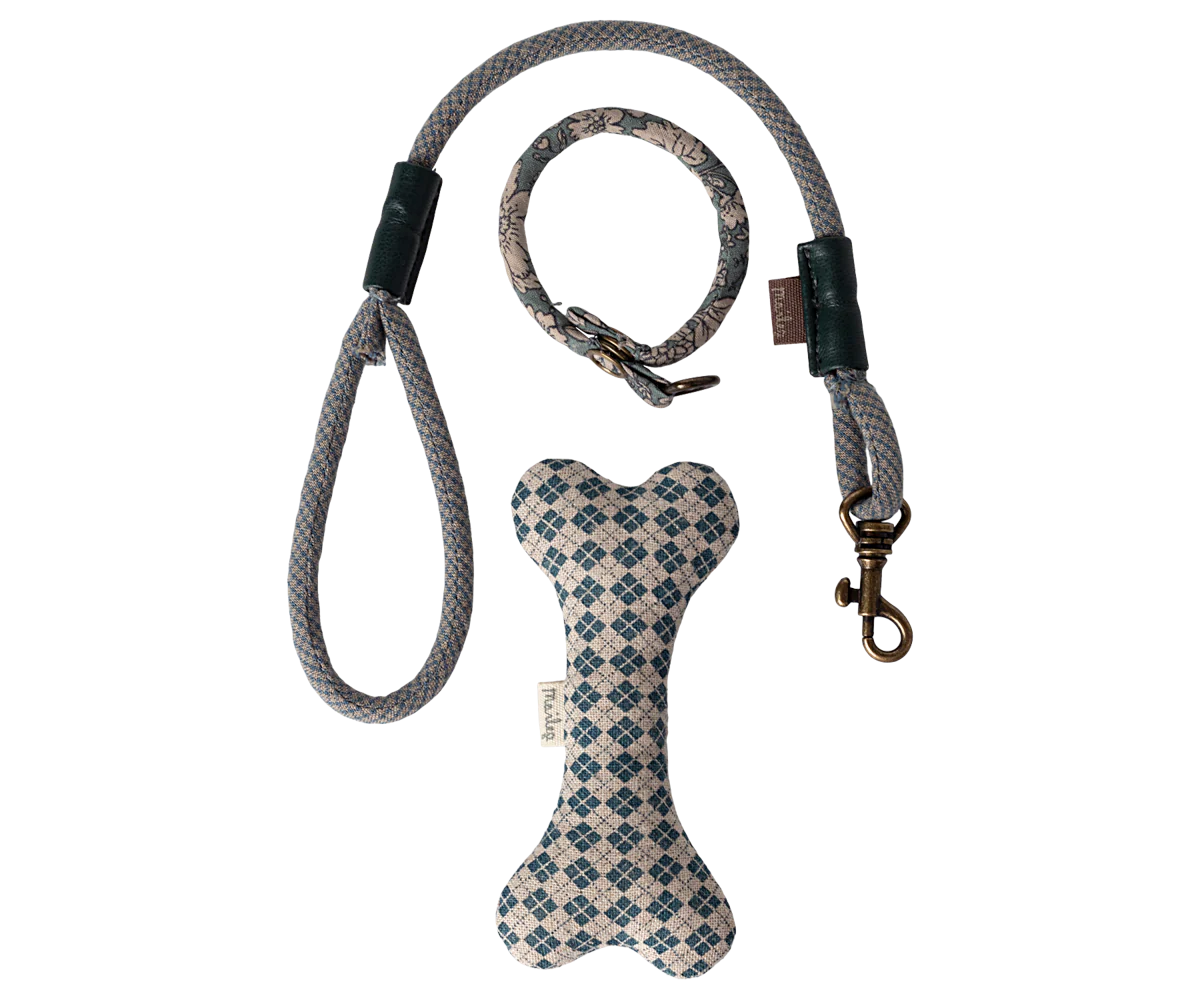Dog supply, Accessories - Blue