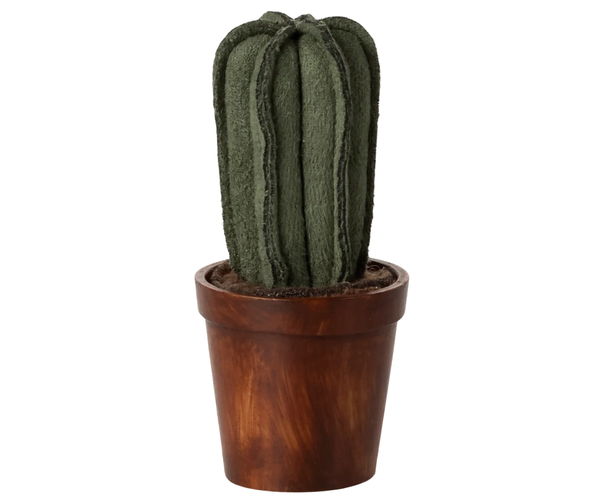 Flower pot with cactus