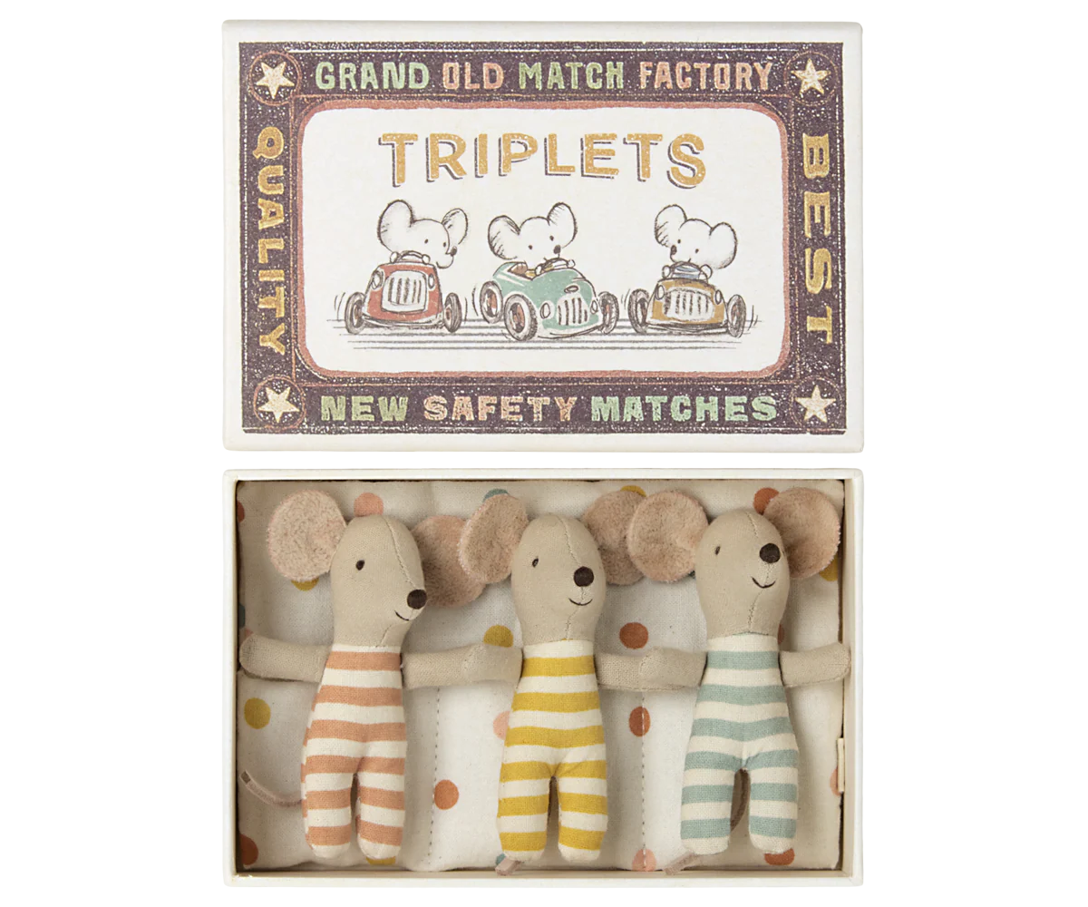 Baby Mouse Triplets in Box