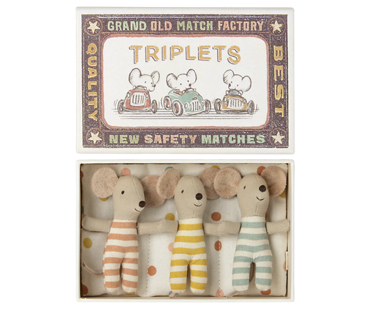 Baby Mouse Triplets in Box