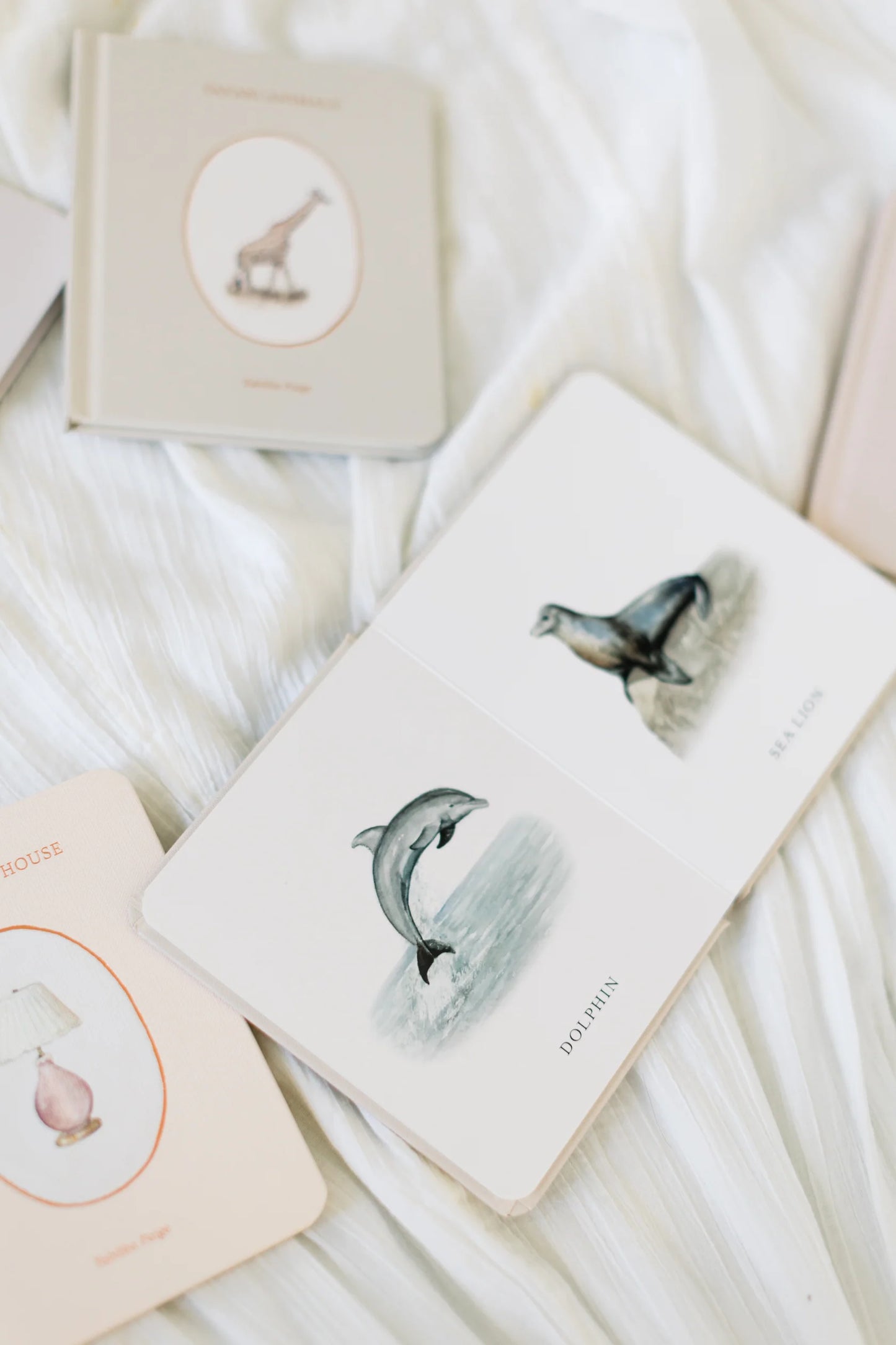 Our Little Library Vol II Book Set
