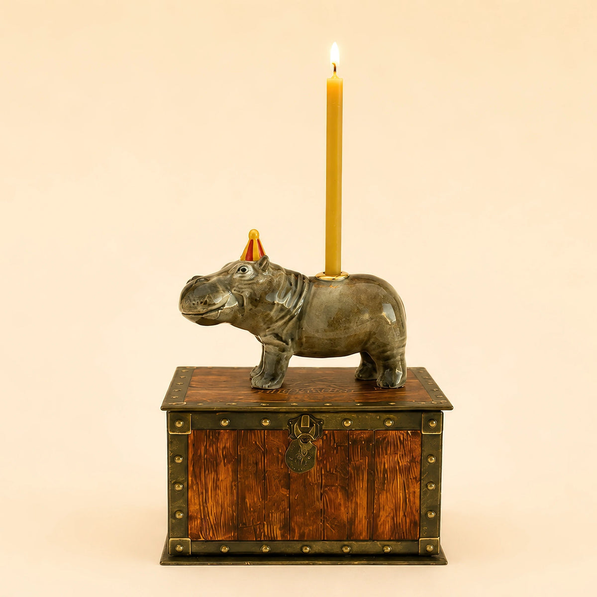 Camp Hollow Hippo Cake Topper