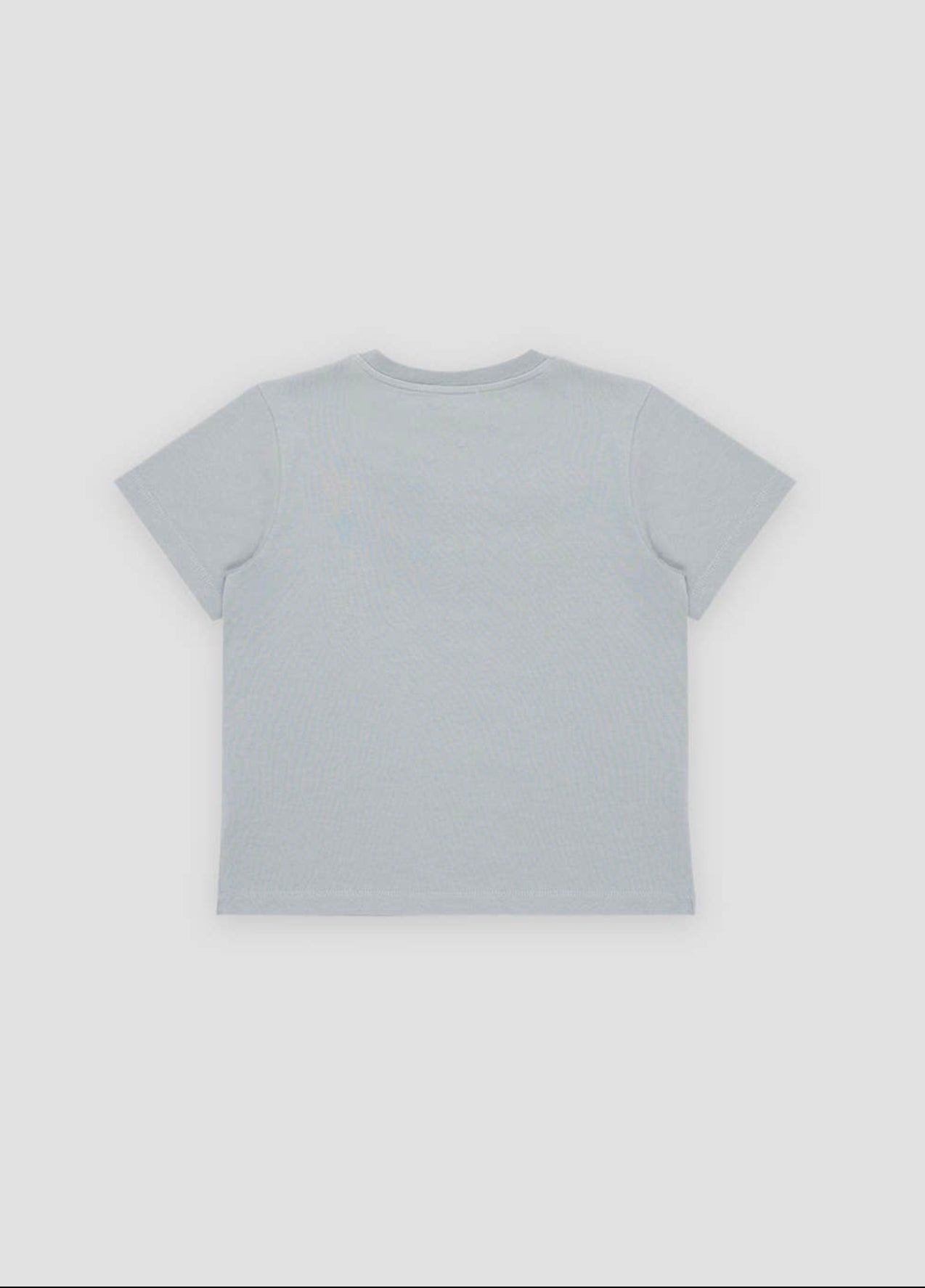 Logo Print Tee Blue Grey