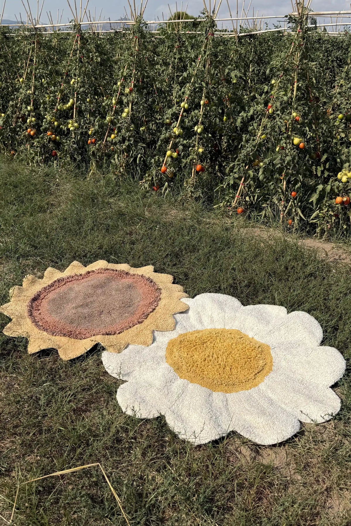 Lorena Canals Washable Rug White Daisy – styling and detail