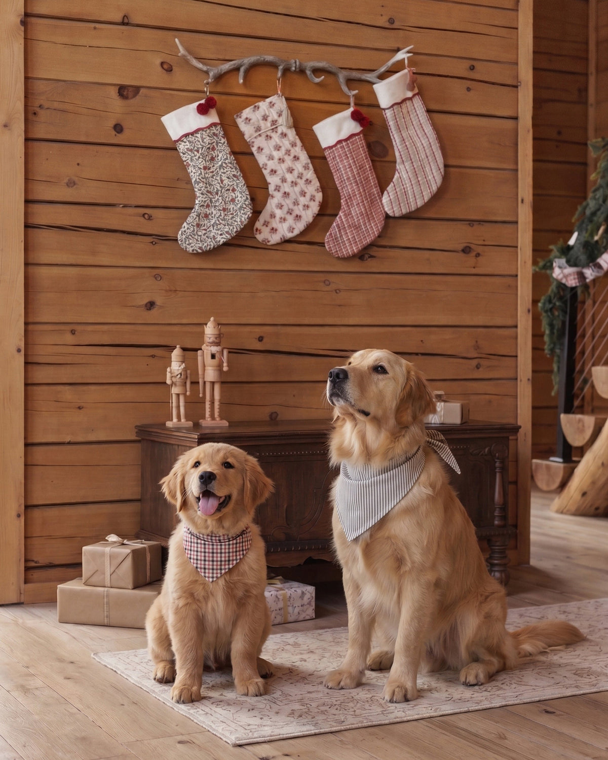 Rylee + Cru Noel Stocking – Candy Cane Lane, official photo 4